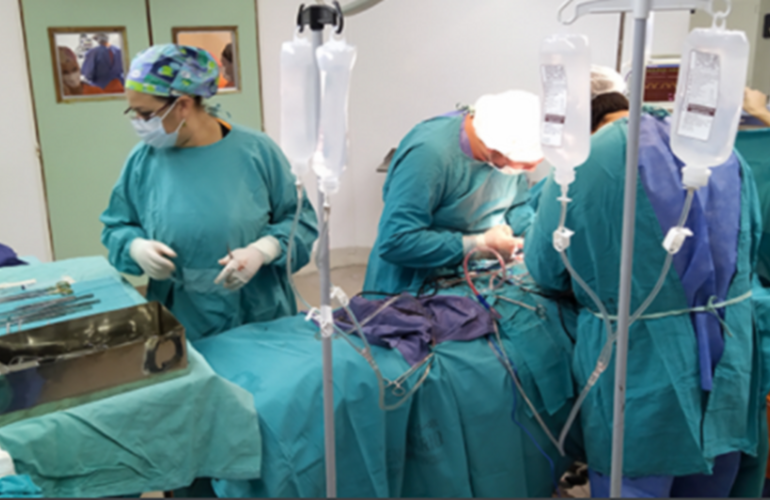 Imagen de Santa Fe contin&uacute;a siendo una provincia "modelo" en donaci&oacute;n de &oacute;rganos