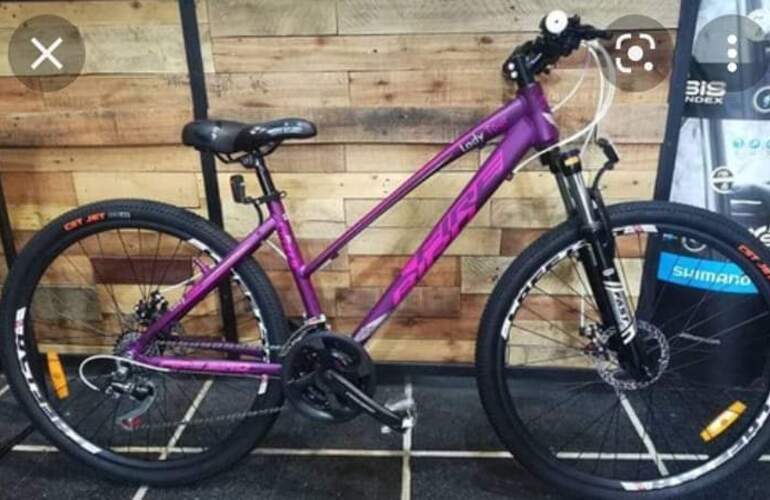 La bicicleta robada fue difundida en redes sociales