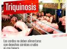 Imagen de La Municipalidad de Arroyo Seco brindó información sobre la triquinosis