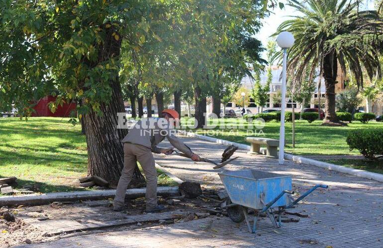 Imagen de Comenzó la remodelación de la plaza 9 de julio