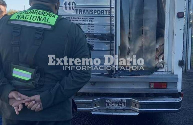 Imagen de Labraron actas de infracci&oacute;n a un veh&iacute;culo que transportaba pescado.