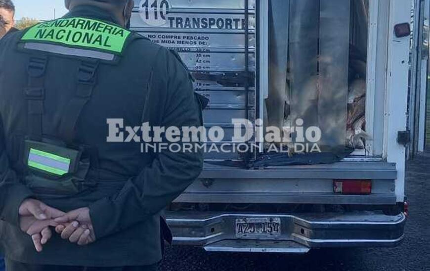 Imagen de Labraron actas de infracci&oacute;n a un veh&iacute;culo que transportaba pescado.