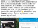 Imagen de A lo Santi Maratea: Franco Ganuza reunió en una hora el dinero para la operación del perrito accidentado
