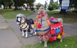 Imagen de Ins&oacute;lito: vecinos de Santa Fe denunciaron un caso de maltrato animal, pero eran mu&ntilde;ecos con formas de caballo y llama