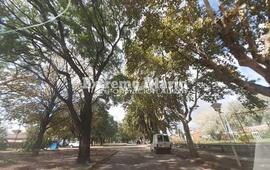 Imagen de Martes con una m&aacute;xima que llegar&aacute; a los 20 &deg;C