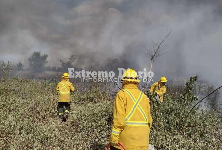 Imagen de Día del combatiente de incendios forestales