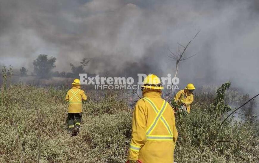 Imagen de D&iacute;a del combatiente de incendios forestales