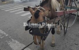 Foto: Archivo