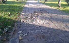 Imagen de Daniel Tonelli pidi&oacute; por la reparaci&oacute;n de las veredas de la plaza San Mart&iacute;n