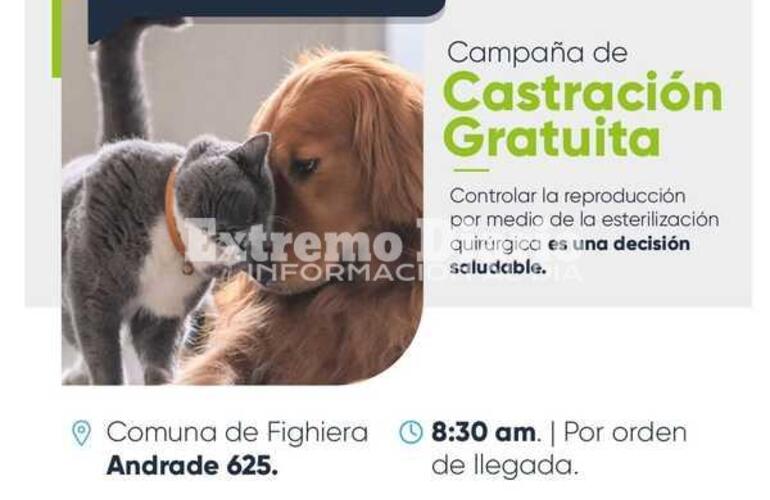 Imagen de Nueva campa&ntilde;a de castraci&oacute;n en Fighiera