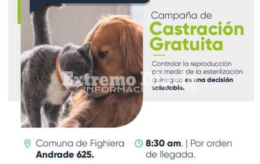Imagen de Nueva campa&ntilde;a de castraci&oacute;n en Fighiera