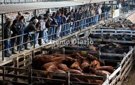 Imagen de Tras 122 a&ntilde;os de actividad cerr&oacute; sus puertas el Mercado de Hacienda de Liniers