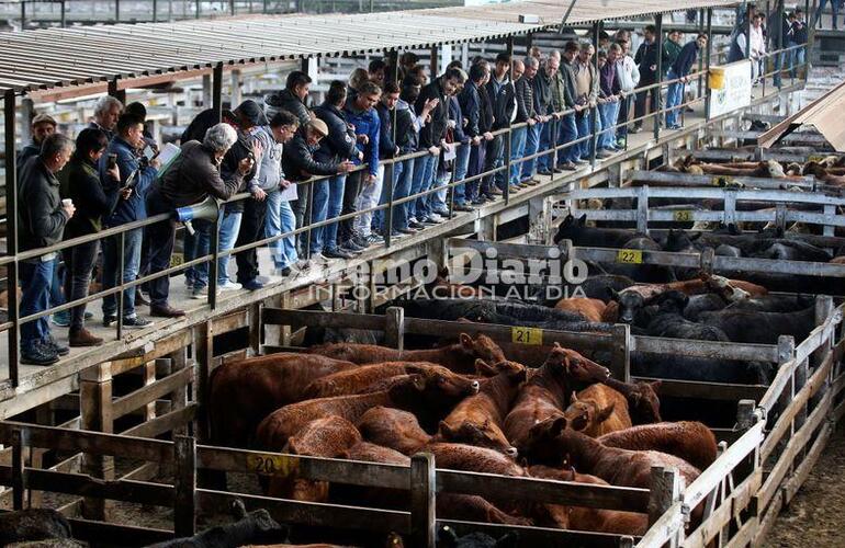 Imagen de Tras 122 años de actividad cerró sus puertas el Mercado de Hacienda de Liniers