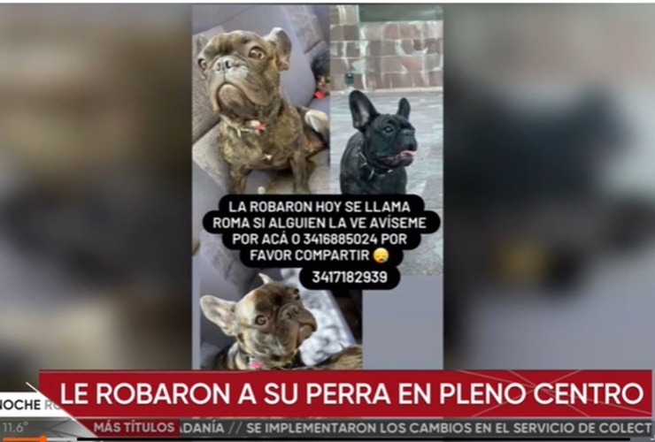 Foto: captura de pantalla El Tres