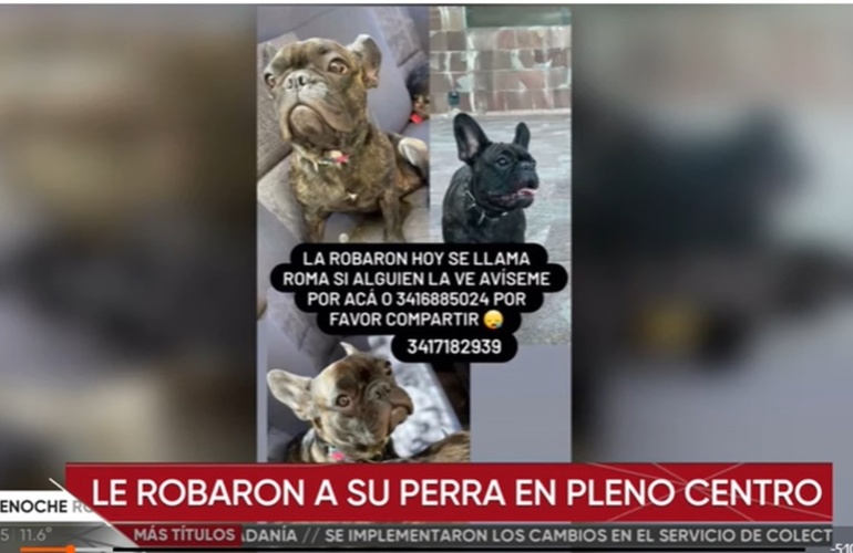 Foto: captura de pantalla El Tres