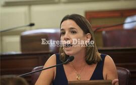 Imagen de Presentaron un nuevo proyecto de reforma de la Constituci&oacute;n provincial