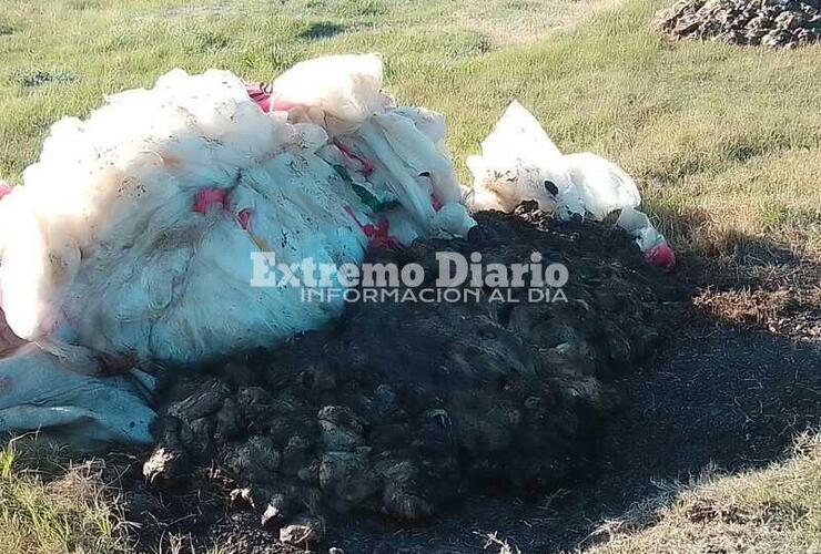 Imagen de Arrojaron restos de carne y vísceras a metros del puente de autopista