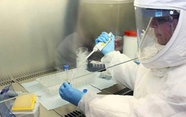 Se realiz&oacute; la toma de muestras para diagn&oacute;stico etiol&oacute;gico. (archivo T&eacute;lam)