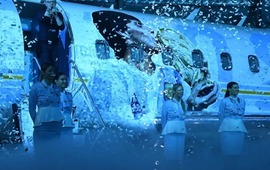 Imagen de Maradona fue pintado sobre un avi&oacute;n que viajar&aacute; al Mundial