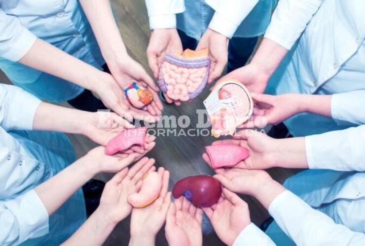Imagen de Día Nacional de la Donación de Órganos