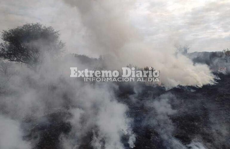 Arduo trabajo que llev&oacute; algo m&aacute;s de dos horas para poder controlarlo.