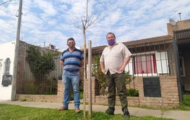 La iniciativa otorga &aacute;rboles a vecinos que lo soliciten.