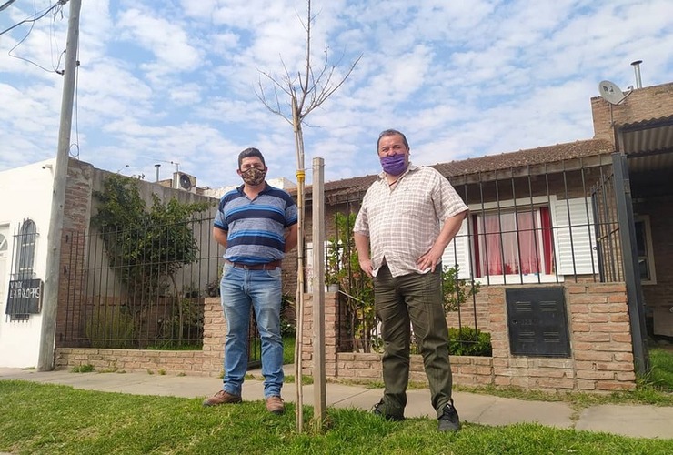 La iniciativa otorga árboles a vecinos que lo soliciten.