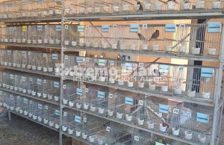 La muestra puede visitarse en H. Yrigoyen y G&aacute;lvez