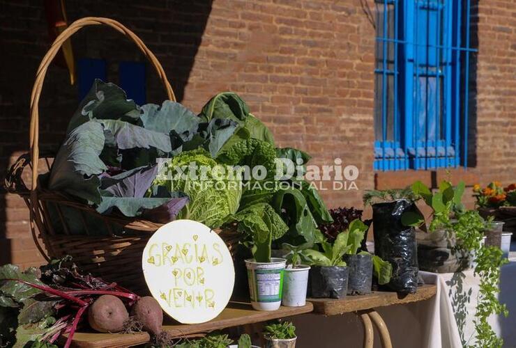 Imagen de Jornada de recepción de materiales reciclables y EcoCanje en el Museo Municipal