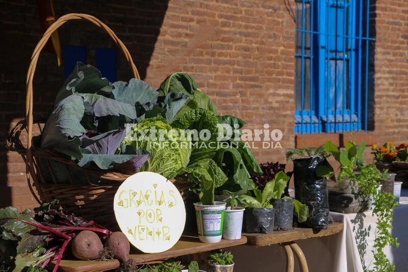 Imagen de Jornada de recepci&oacute;n de materiales reciclables y EcoCanje en el Museo Municipal