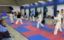 Imagen de Encuentro de Taekwondo en el Sal&oacute;n Dorado a cargo de Ferm&iacute;n Rodr&iacute;guez