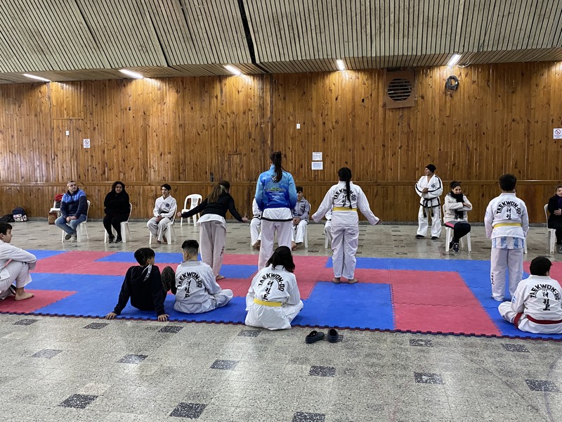 Imagen de Encuentro de Taekwondo en el Sal&oacute;n Dorado a cargo de Ferm&iacute;n Rodr&iacute;guez