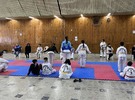 Imagen de Encuentro de Taekwondo en el Salón Dorado a cargo de Fermín Rodríguez