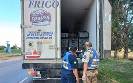 Imagen de Incautan en Victoria un cargamento ilegal de m&aacute;s de 3.500 kilos de pescado
