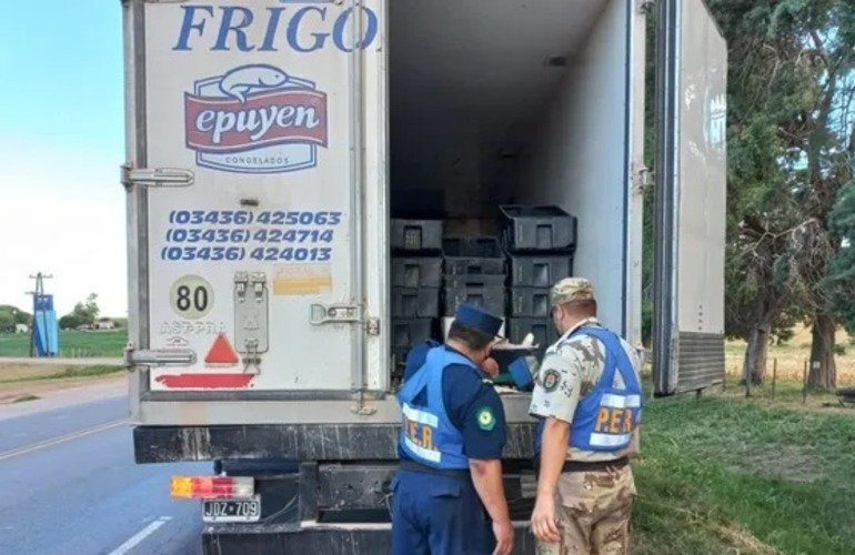 Imagen de Incautan en Victoria un cargamento ilegal de m&aacute;s de 3.500 kilos de pescado