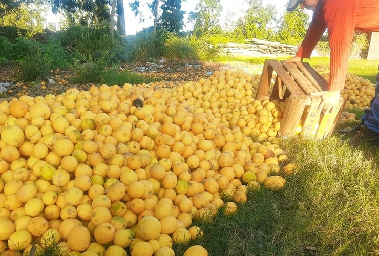 Imagen de Por la falta de gasoil, en Corrientes tiran los limones