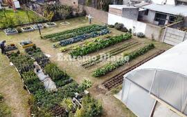 Imagen de Vivero y Huerta Municipal: Un espacio sustentable que no para de crecer