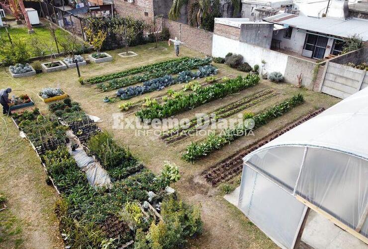 Imagen de Vivero y Huerta Municipal: Un espacio sustentable que no para de crecer