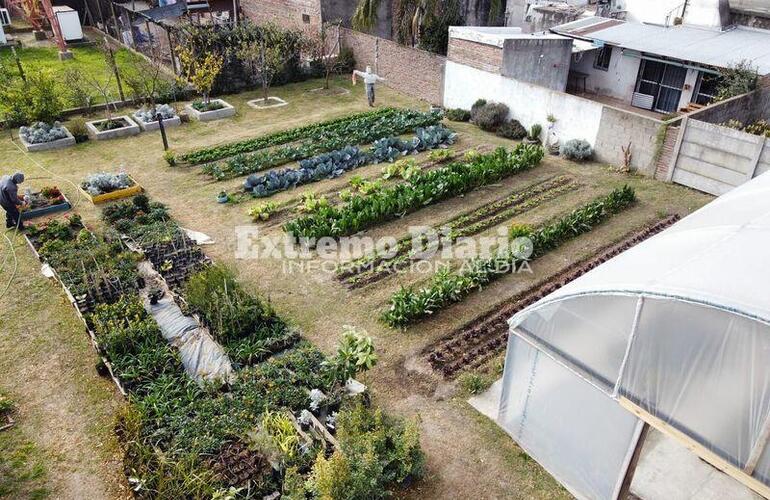 Imagen de Vivero y Huerta Municipal: Un espacio sustentable que no para de crecer