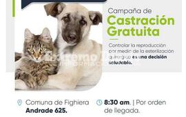 Imagen de Fighiera: Nueva jornada de castraci&oacute;n de mascotas
