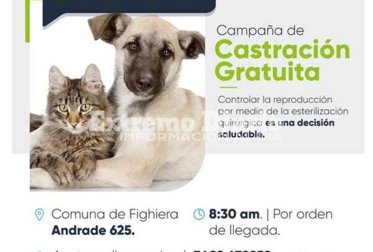 Imagen de Fighiera: Nueva jornada de castración de mascotas