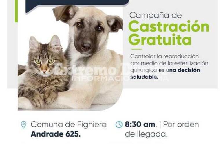 Imagen de Fighiera: Nueva jornada de castración de mascotas