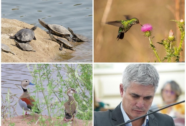 Imagen de Lenci insiste en incorporar la reserva de Villa Gobernador G&aacute;lvez al Sistema Provincial de &Aacute;reas Protegidas