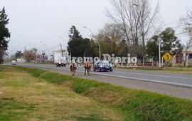 Imagen de Caballos sueltos sobre Ruta 21