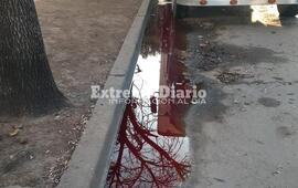 Imagen de Reclamo vecinal y acta municipal