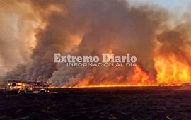 Imagen de Naci&oacute;n anunci&oacute; un fuerte aumento presupuestario para combatir incendios forestales
