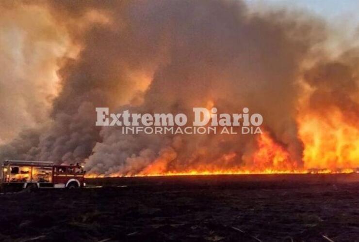 Imagen de Nación anunció un fuerte aumento presupuestario para combatir incendios forestales