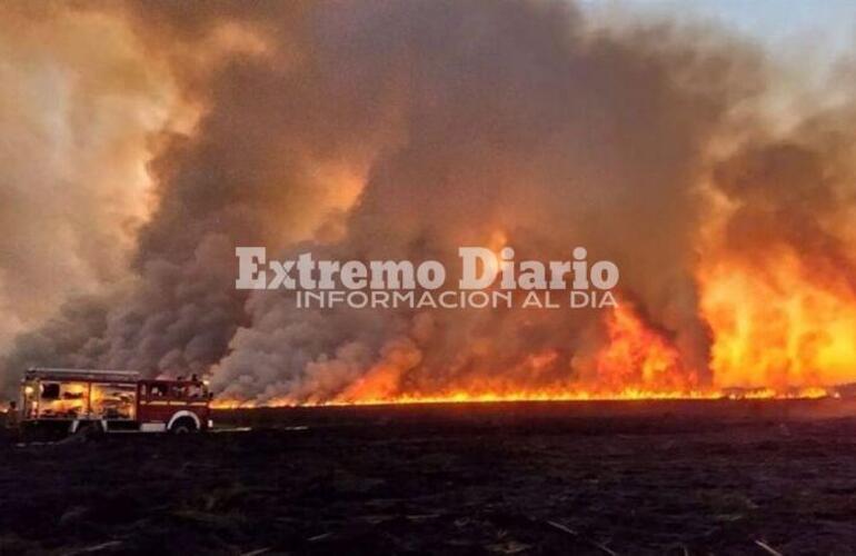 Imagen de Nación anunció un fuerte aumento presupuestario para combatir incendios forestales