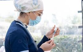Imagen de Santa Fe vacunar&aacute; a ni&ntilde;os de 6 meses a 3 a&ntilde;os contra el coronavirus y hay alerta por sarampi&oacute;n
