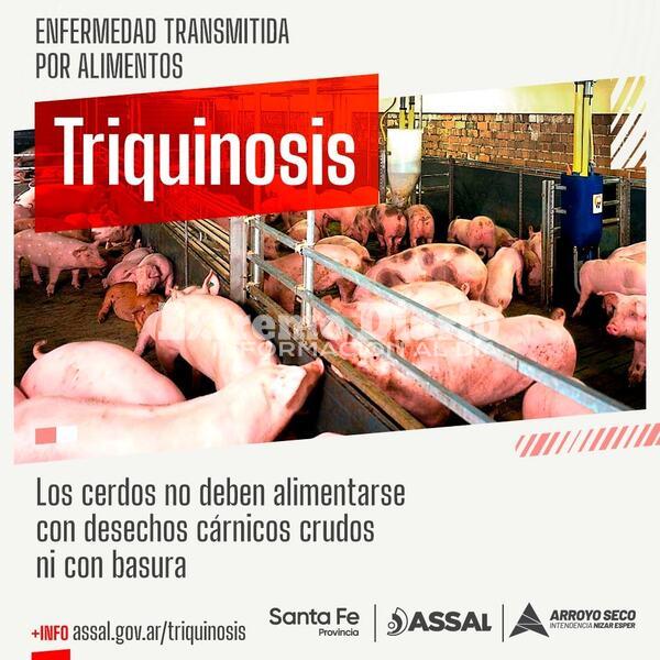 Imagen de La provincia recomend&oacute; medidas de cuidado por brote de triquinosis